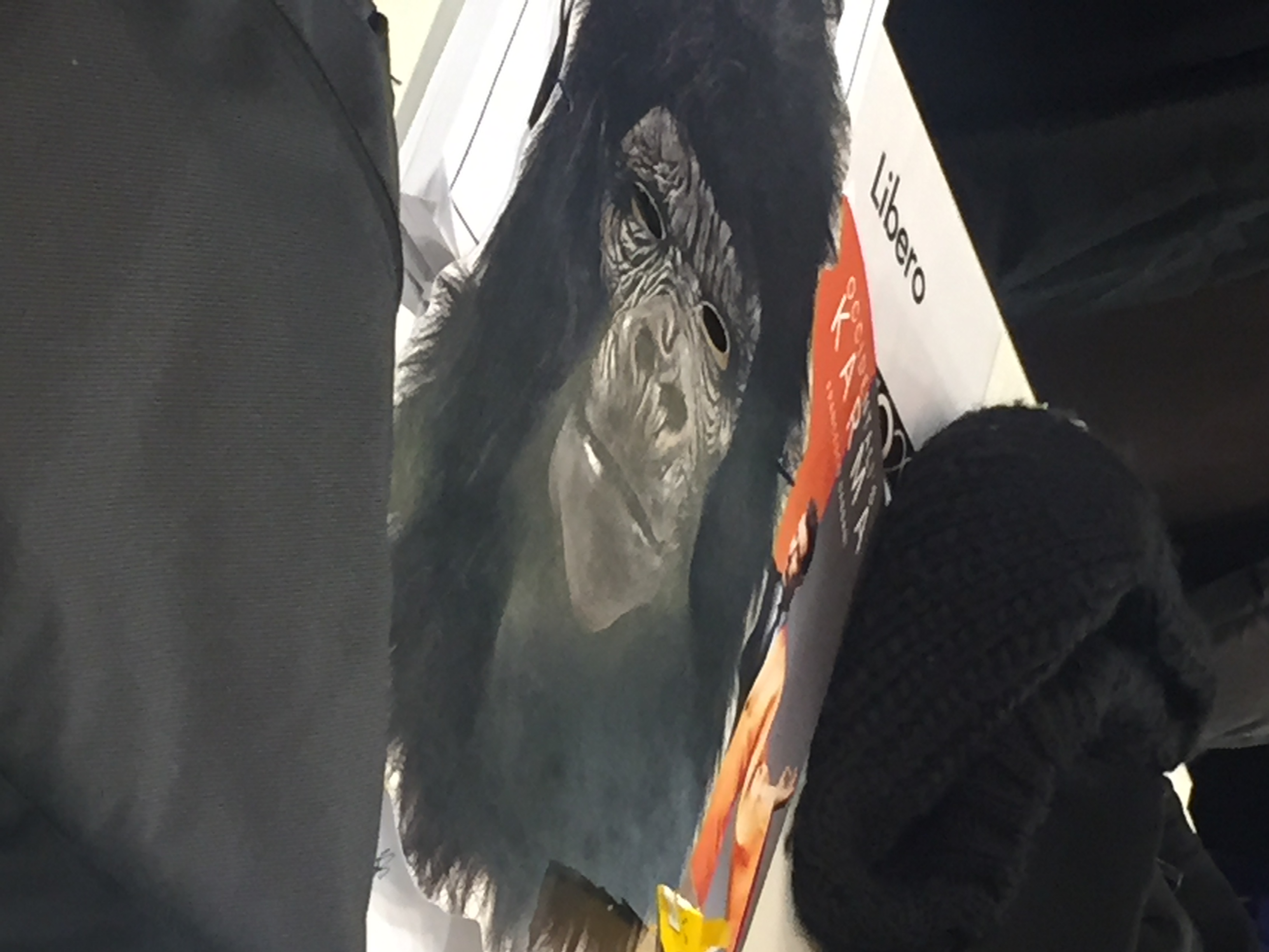 Maschera della scimmia di Gabbani